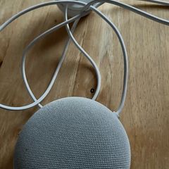 Google Nest please read
