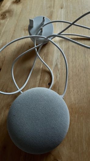 Google Nest please read