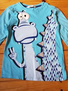Age 4-6 Dragon Top