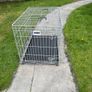 Large dog crate Image 2