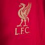 Vintage 2012/13 Liverpool FC Warrior Training Tee - Size M (Near Mint) Image 6
