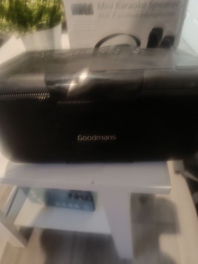 Speaker
