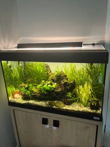 Fluval fish tank
