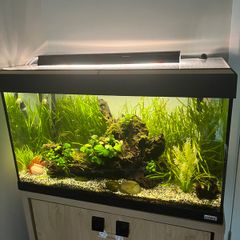 Fluval fish tank