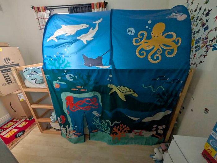 Kura bunk bed