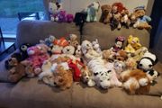 Large collection of soft toys