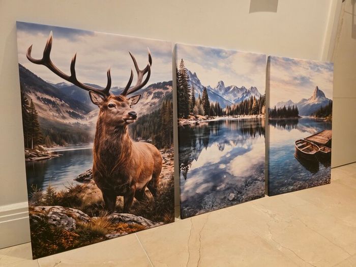 3 framed printed canvas 45x65cm