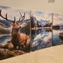 3 framed printed canvas 45x65cm Image 6