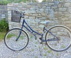 Pendleton Heath bike