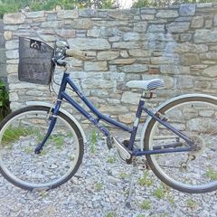 Pendleton Heath bike