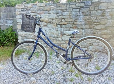 Pendleton Heath bike
