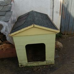Dog house
