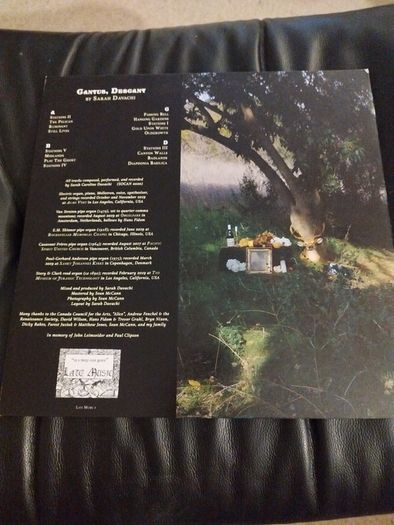 Sarah Davachi Cantus, Descant 2lp warp records imprint