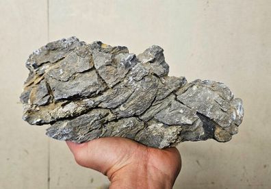 Seiryu Stone