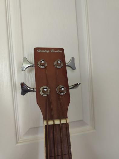 Fretless Bass guitar
