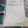 Various autographs Image 4