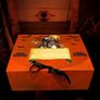 Halloween Personalised Treat Boxes and Matching pyjamas Image 2