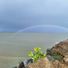sueshields