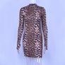 New long sleeve Leopard dress S M L Image 2