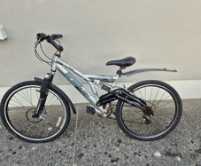 Goldrush Thriller Bike
