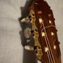 Amalio Burguet 2M (Cedar top) Classical Guitar Image 4