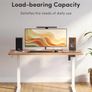 100 x 60cm Sit Stand Electric Home Office Desk with Memory Smart Pannel Image 6