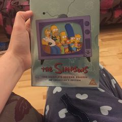 The Simpsons Season 2 Box Set