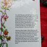 Wild Flowers , a Handbook Image 2
