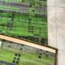 Louis De Poortere Runner 240 x 80 cm Brand New Image 4