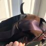 Dkny Bag Image 6