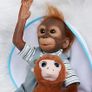 Reborn Monkey Blue or Pink Image 4