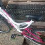 bike Image 3