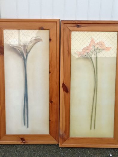Beautiful Set of 2 Large Flower Pictures