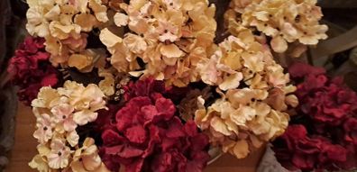 Velvet Hydrangeas
