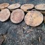 slabs Image 2