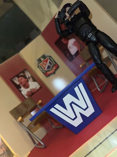 WWE Elites, Ultimates and Playsets Assortments