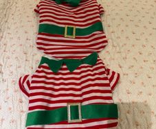 Dogs Christmas outfit