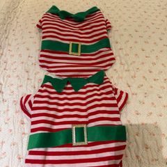 Dogs Christmas outfit