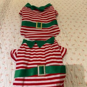 Dogs Christmas outfit