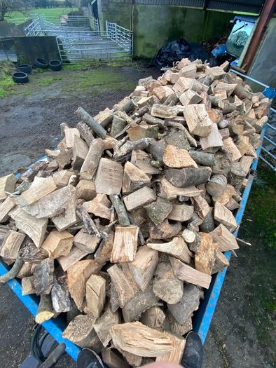 Trailer loads of hardwood firewood