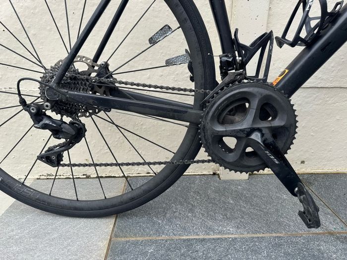 Canyon Endurance AL 6