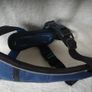 Care Safe Crash Tested Dog Harness Image 4
