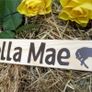 Equestrian stable door locker wooden hanging signs plaques with the horse pony name Image 2