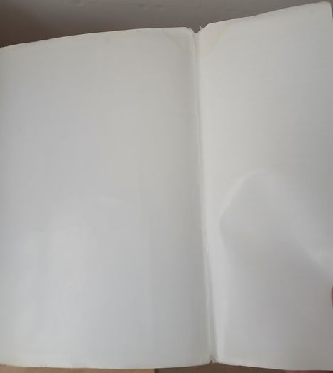 Oscar Wilde by Richard Ellmann Hamish Hamilton 1987 Hardback