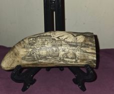 Scrimshaw Art