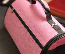 cat carrier