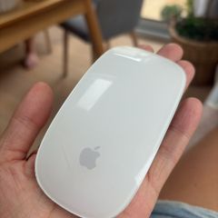 Apple Magic Mouse