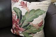 Cushion