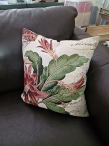 Cushion