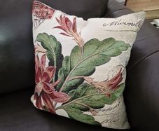 Cushion